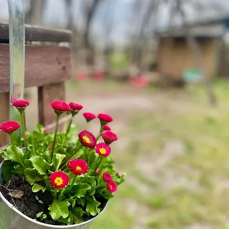 Schaeferhof, Vor Der Haustuere Apartman *