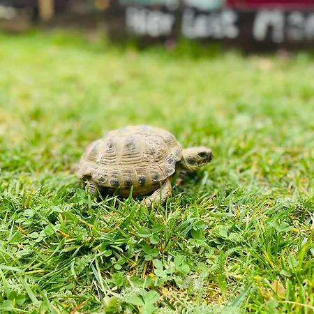GRÜNZEIT Ferienwohnung, die Natur vor der Haustüre Cottbus