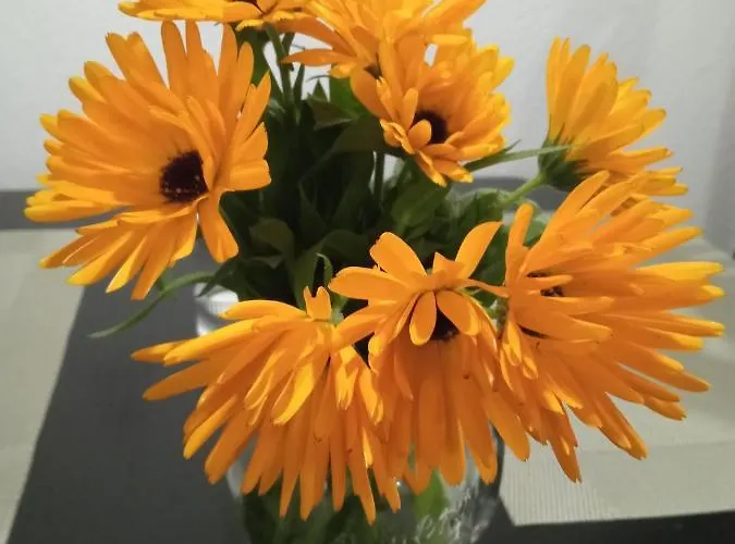 GRÜNZEIT Ferienwohnung, die Natur vor der Haustüre *