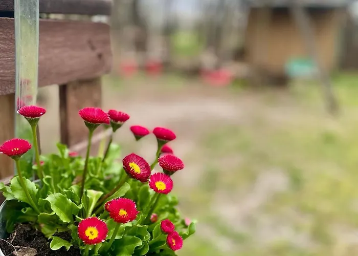GRÜNZEIT Ferienwohnung, die Natur vor der Haustüre Apartment *