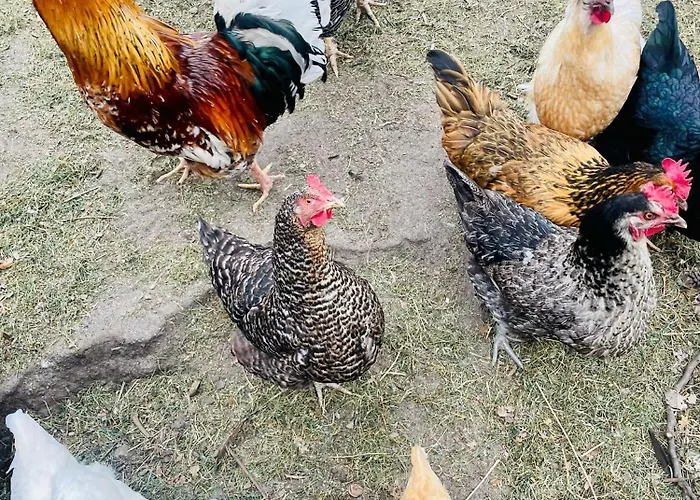 GRÜNZEIT Ferienwohnung, die Natur vor der Haustüre *